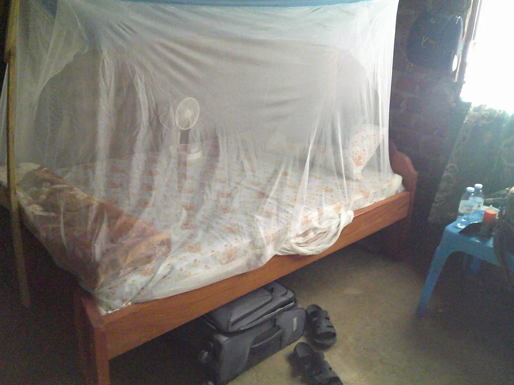 The Healing Kadi Foundation